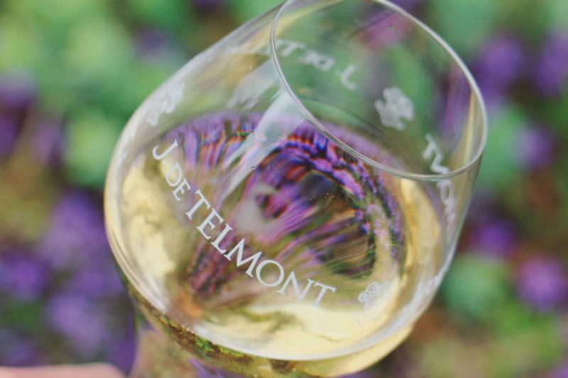 テルモン TELMONT | エノテカ - ワイン通販 テルモン TELMONT | エノテカ - ワイン通販