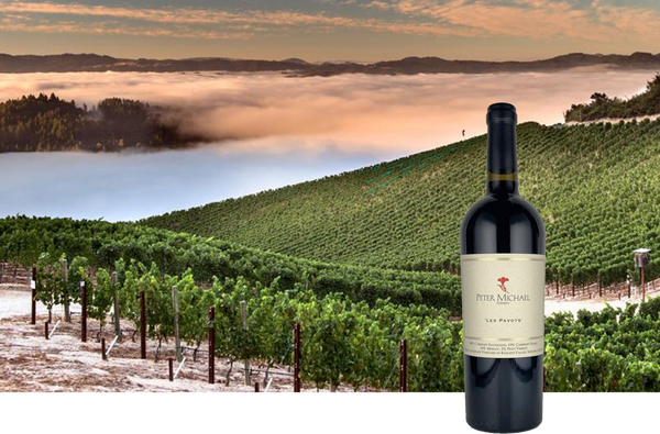 【カリフォルニア特集】カルトワインの称号をもつ "ピーター・マイケル・ワイナリー"