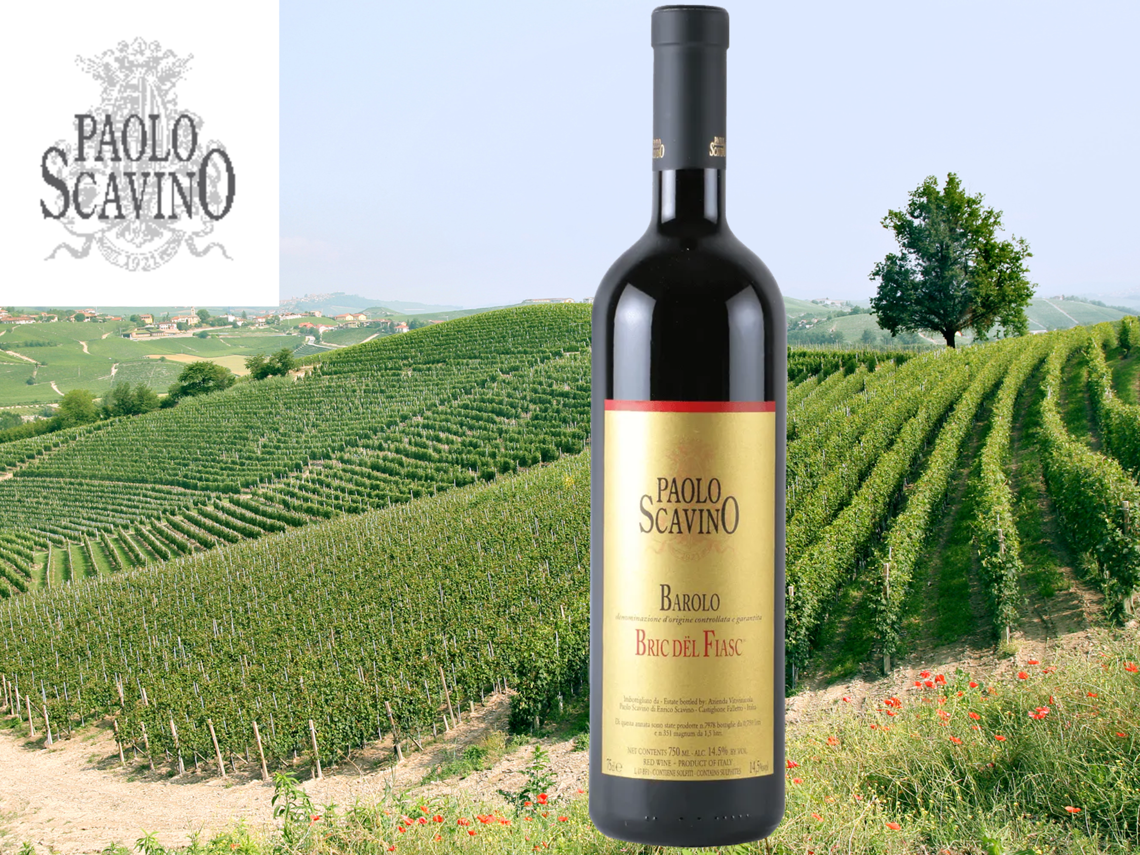 【3週目】11月週末スペシャルグラス