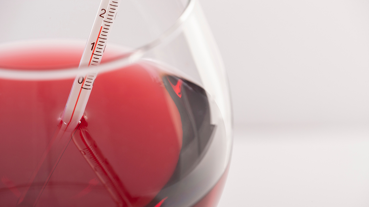 赤ワイン　温度計