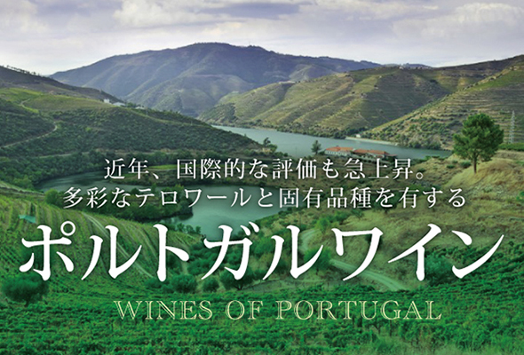 ポルトガルワイン - 主要産地の特徴とおすすめ銘柄