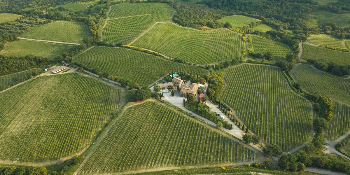 畑の上空からの風景