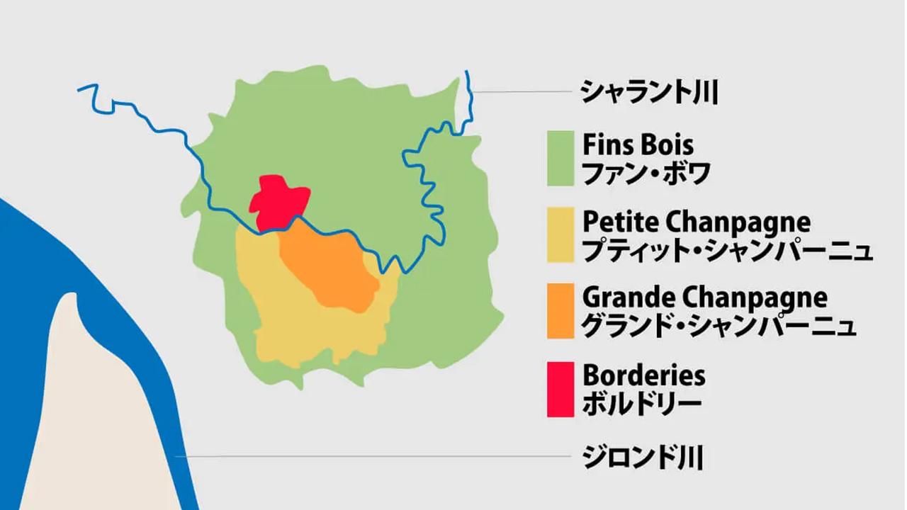 コニャック　地図