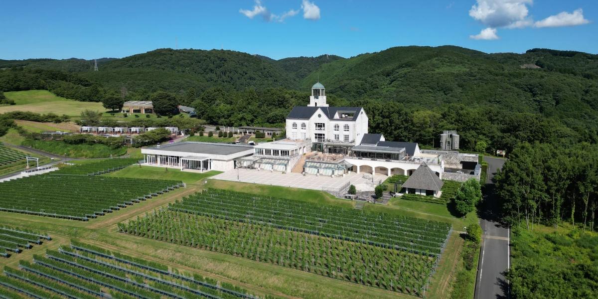 中伊豆ワイナリー / NAKAIZU WINERY