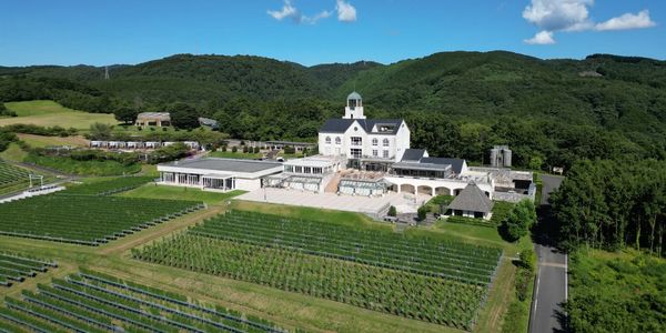 中伊豆ワイナリー / NAKAIZU WINERY