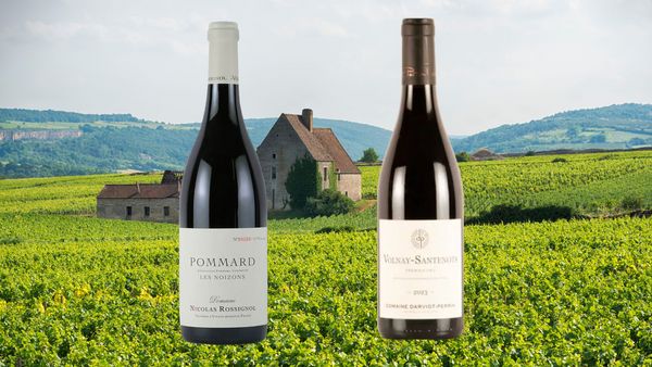 コート・ド・ボーヌを知る2種テイスティング