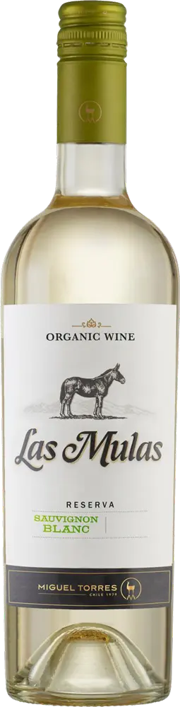 BN9UKyQXeXzgwNk7uTUQAk