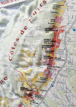 ブルゴーニュ3D　AOC マップ-1