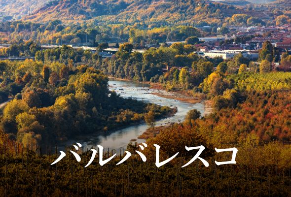 【2025年】おすすめバルバレスコ【ソムリエ厳選】