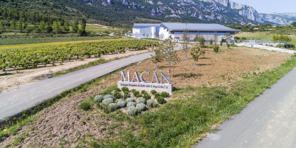 ボデガス・ベンジャミン・ド・ロスチャイルド ＆ ベガ・シシリア / BODEGAS BENJAMIN DE ROTHSCHILD ＆ VEGA SICILIA