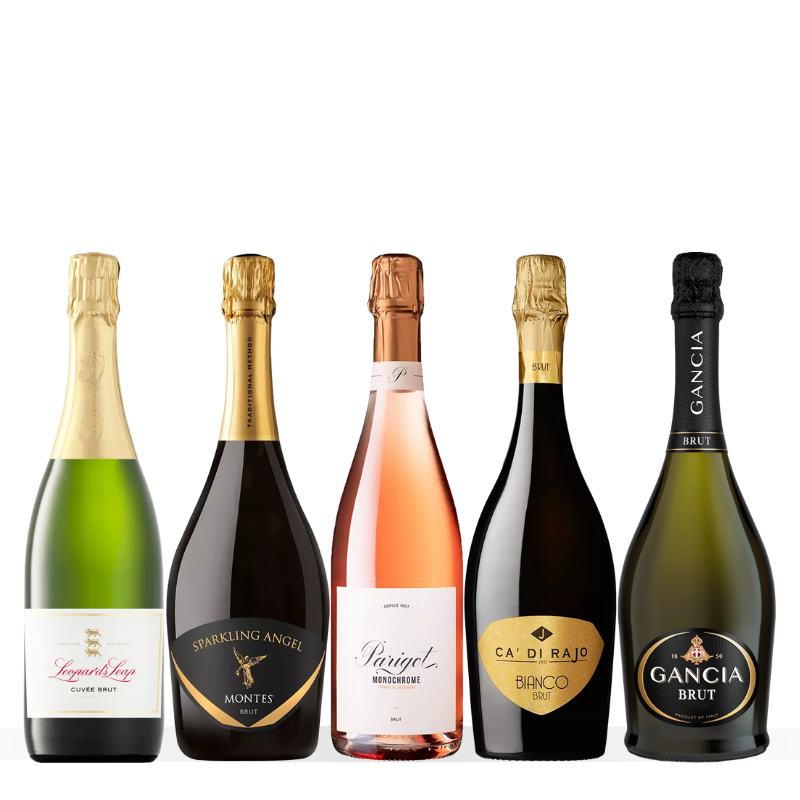 🇪🇸🍾【 CAVA 】人気の高級自然派スパークリングワイン2本