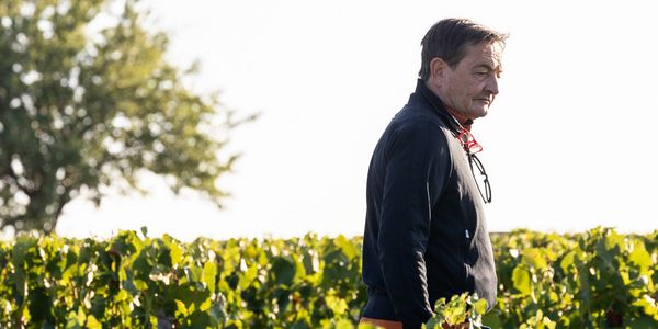 コント・ラフォン / COMTES LAFON