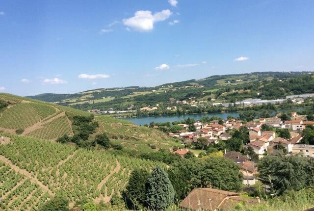 南フランスを代表する生産地 ローヌ地方 のワインの特徴とは エノテカ ワインの読み物