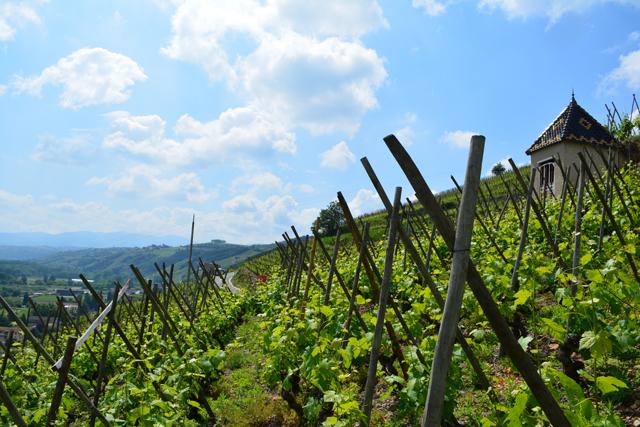 日差しが降り注ぐ南フランスの風景