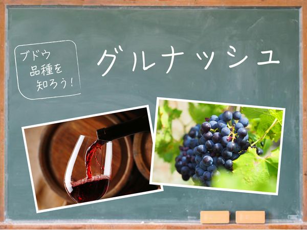 【ブドウ品種を知ろう】グルナッシュとは？
