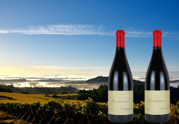【2銘柄比較】オクシデンタル シャルドネの帝王・キスラーが手掛けるピノ