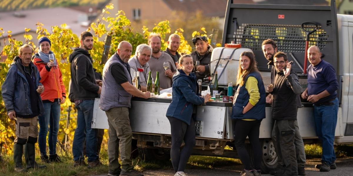 収穫チームのメンバー