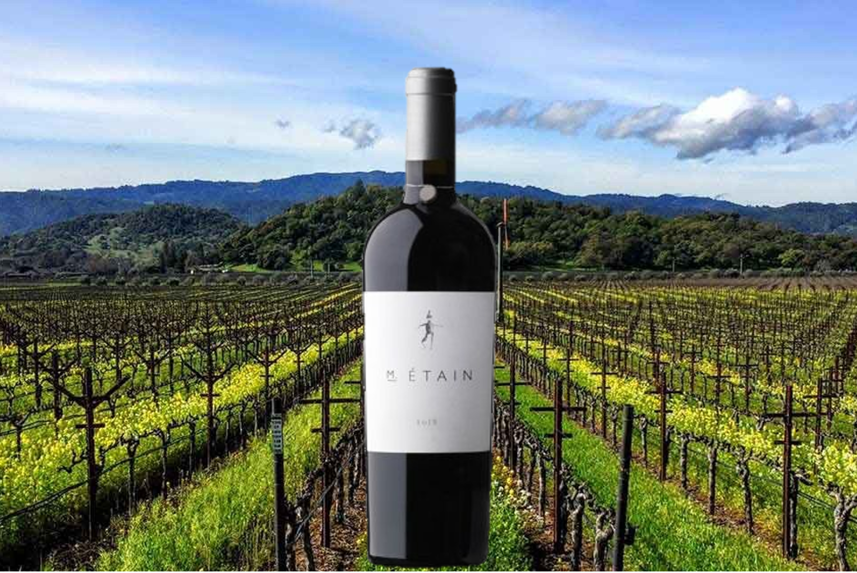 【カルトワイン】 スケアクロウ Scarecrow 2021 赤 ワイン スケアクロウ SCARECROW | エノテカ - ワイン通販