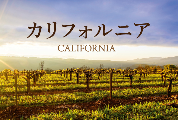 ニューワールドワインの筆頭格「カリフォルニア」