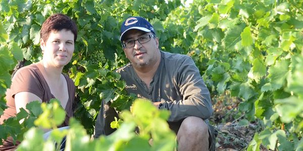 【1月16日（金）～無くなり次第終了】ソムリエ達に「コルトン・シャルルマーニュ」と言わしめたシャトー・ヌフ・デュ・パプ・マジス