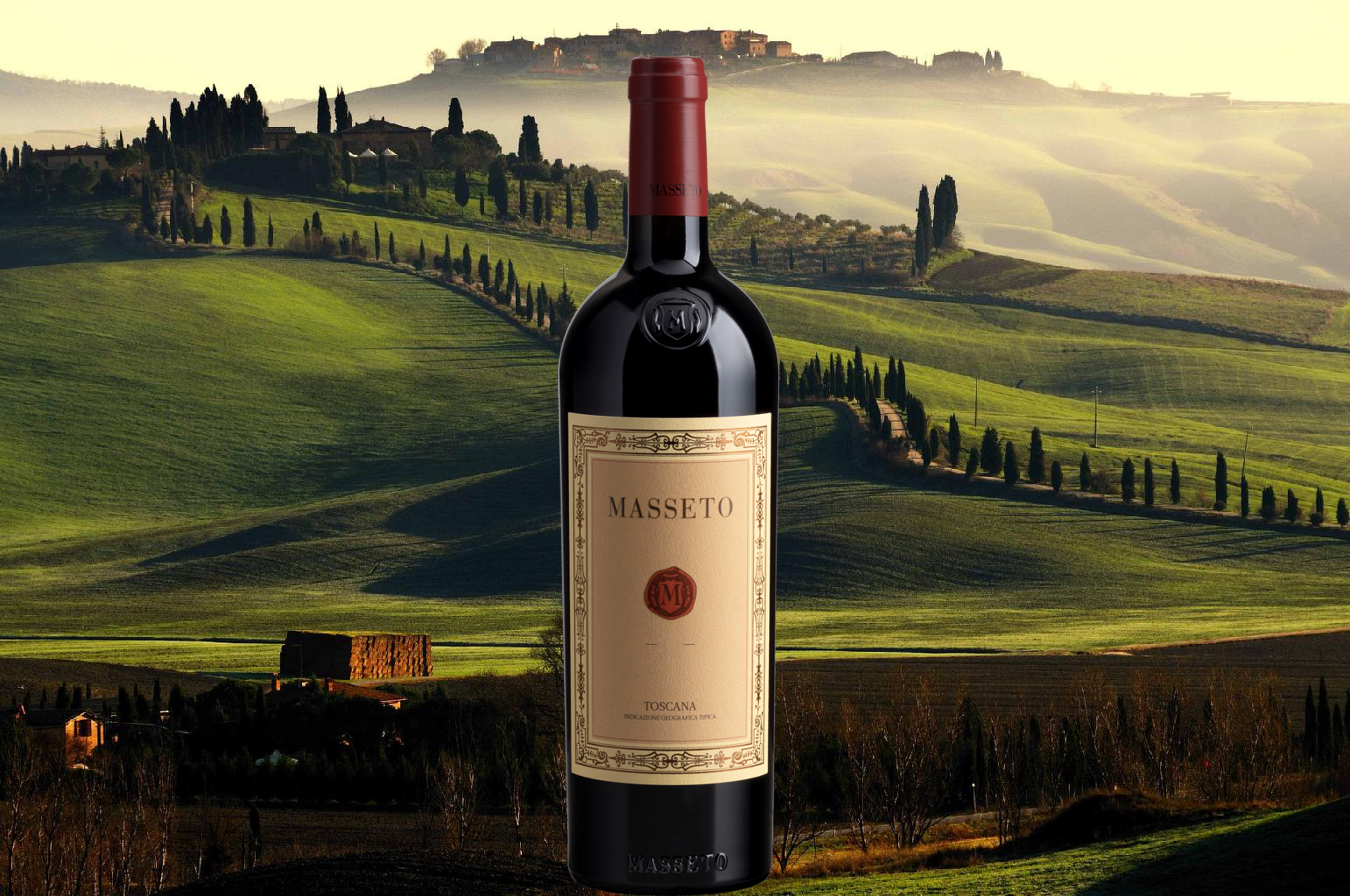 マッセート テヌータ デル オルネライア　2019 750ml マッセート テヌータ デル オルネライア 2019 750ml マッセート 2019