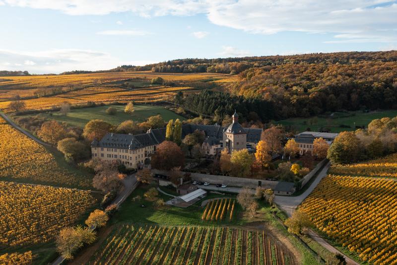 シュロス・フォルラーツ SCHLOSS VOLLRADS | エノテカ - ワイン通販