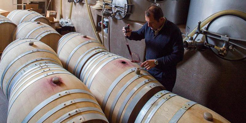 ピーター・マイケル・ワイナリー PETER MICHAEL WINERY ピーター・マイケル・ワイナリー PETER MICHAEL WINERY