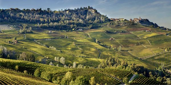 【平日限定プチセミナー】ピエモンテワインとチーズ