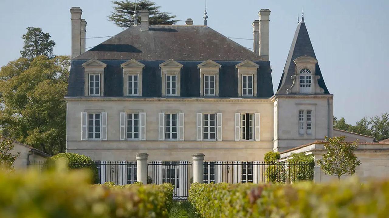 ブドウ畑_フランス