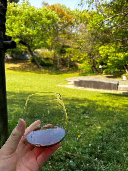 ブログメイン画像