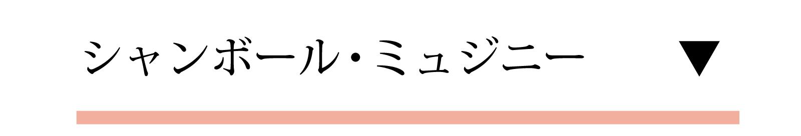 ルシアン・ル・モワンヌ(シャンボール・ミュジニー)