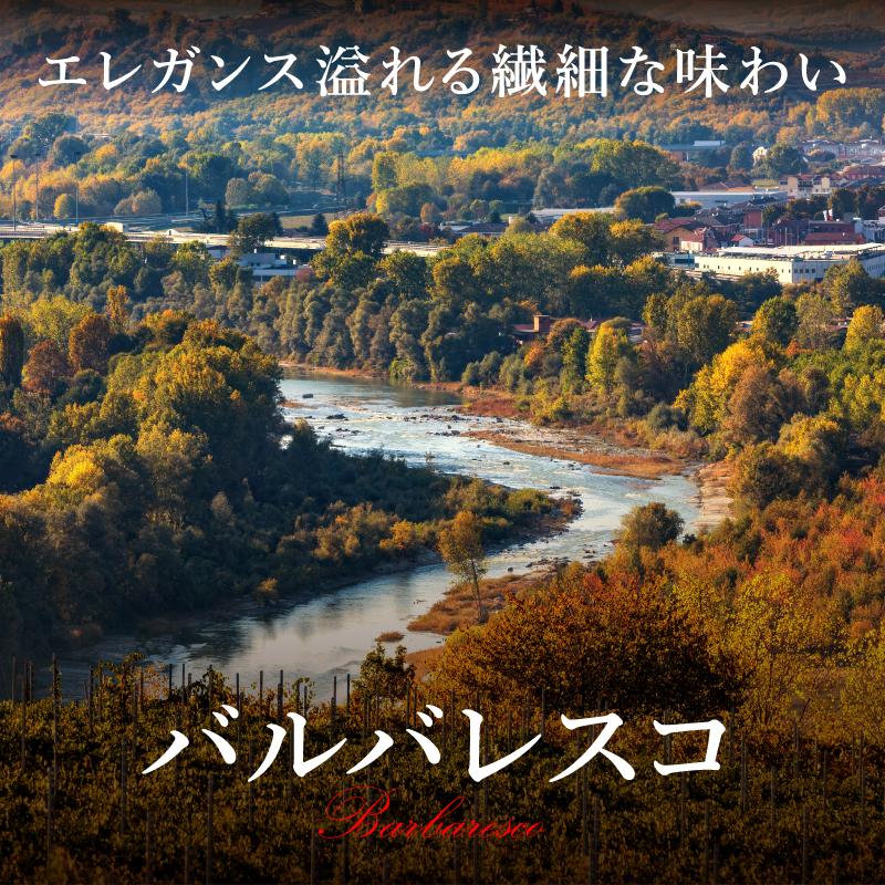 【2025年】おすすめバルバレスコ【ソムリエ厳選】