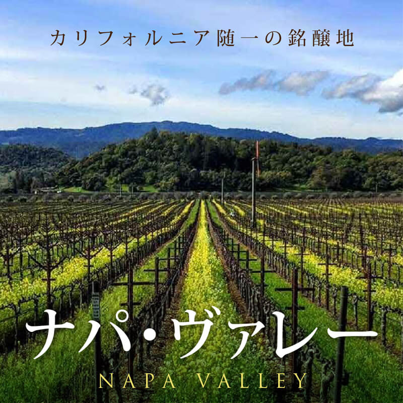 ナパ・ヴァレー - カリフォルニア随一の銘醸地 | エノテカ - ワイン通販