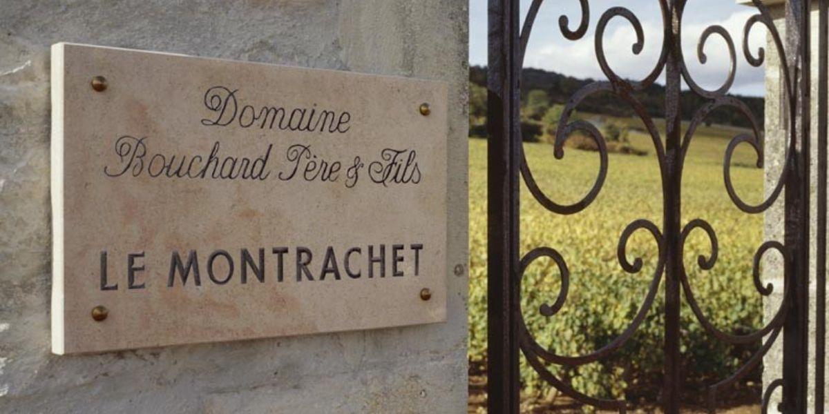 ブシャール・ペール・エ・フィス / BOUCHARD PERE&FILS