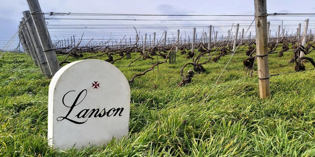 ランソン / LANSON