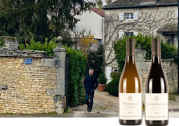 【新規入荷ワイン】ビオディナミを実践する、フィネス溢れるコート・ド・ボーヌの造り手"ダルヴィオ・ペラン"