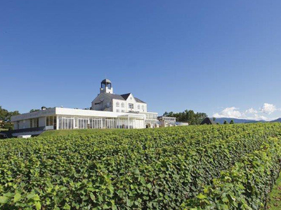 中伊豆ワイナリー / NAKAIZU WINERY