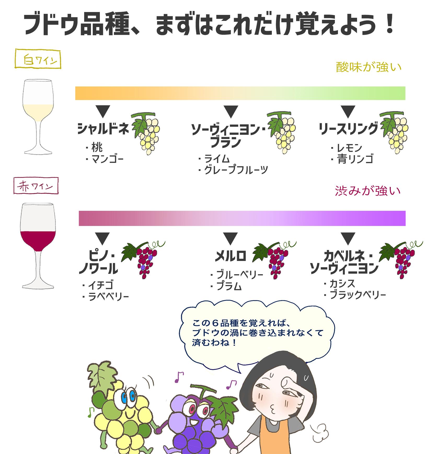 ブドウ品種、まずはこれだけ覚えよう！