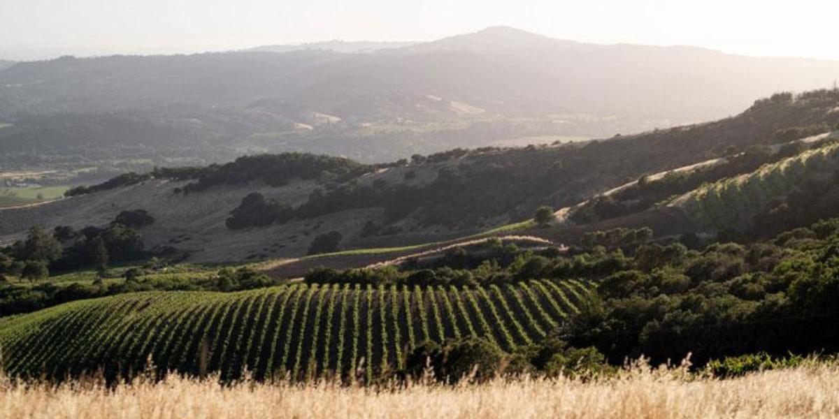 キスラー・ヴィンヤーズ / KISTLER VINEYARDS