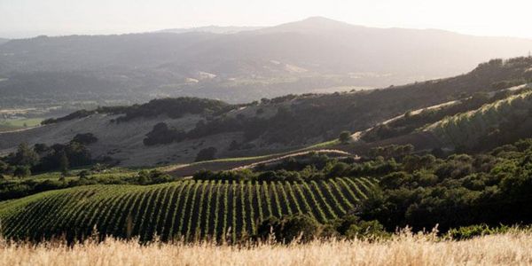 キスラー・ヴィンヤーズ / KISTLER VINEYARDS