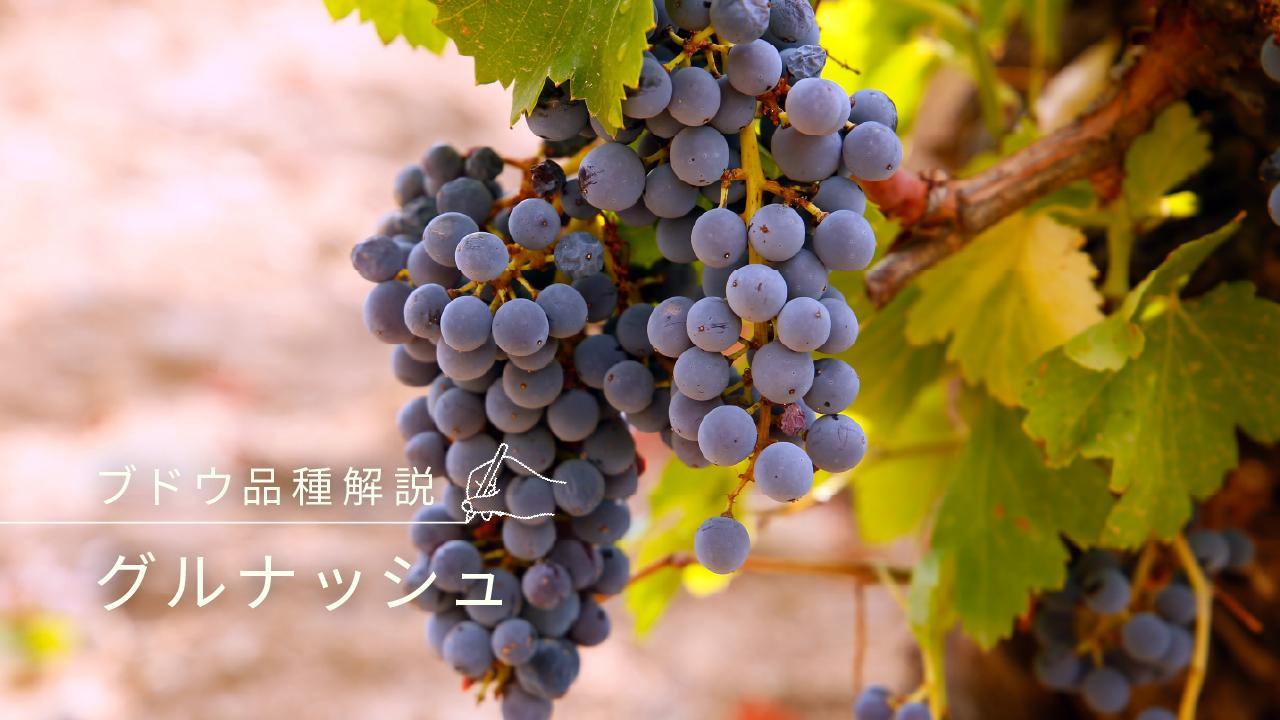 グルナッシュ
