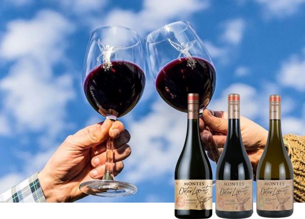 【モンテス】ワイン造りの限界を超える挑戦"アウターリミッツ"