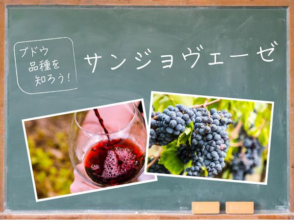 【ブドウ品種を知ろう】サンジョヴェーゼとは？