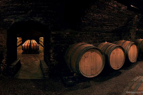ピュアでしなやかなスタイルのワインを造り出す、ブルゴーニュの真髄