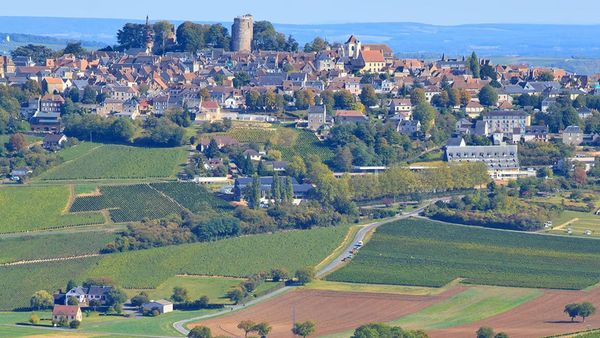 ロワールの銘醸地「サンセール」と「プイィ・フュメ」を解説！