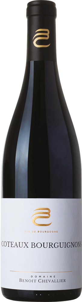 コトー・ブルギニョン / ドメーヌ・ブノワ・シュヴァリエ | エノテカ