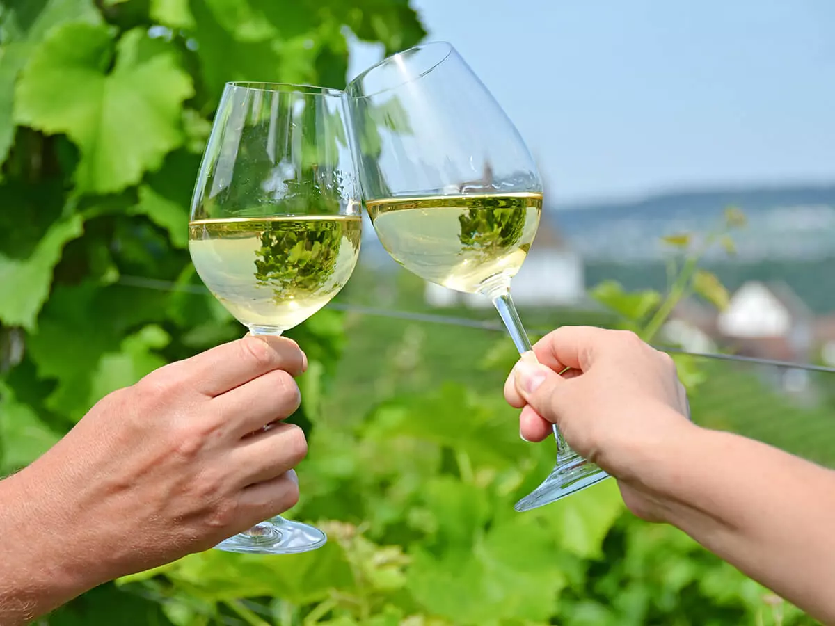 シャト-マルゴ-ブラン 2009 750ml シャト-マルゴ-ブラン 2009 750ml