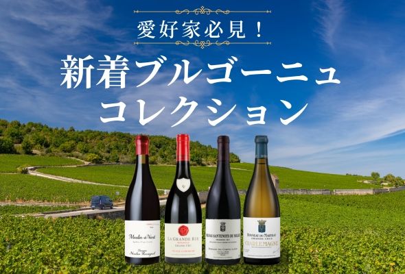 新着ブルゴーニュコレクション