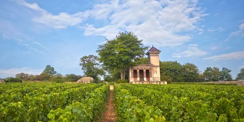 ブログメイン画像