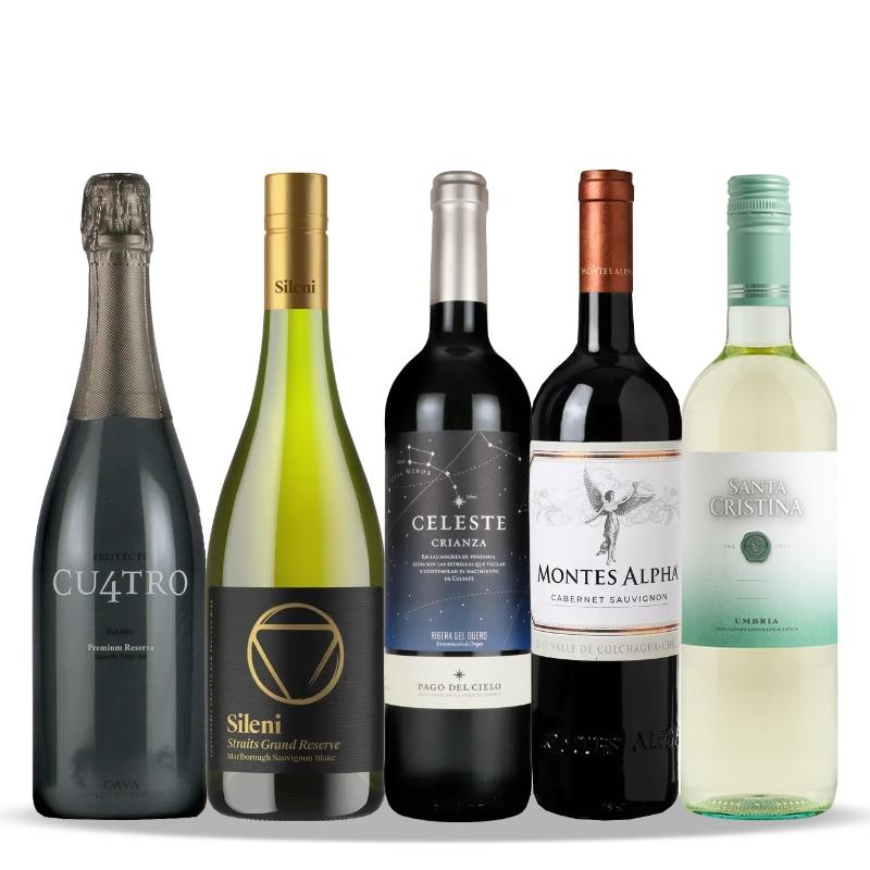 累計販売数55000個超え！ベストセラーワイン5本セット EG4-2 [750ml x 5]